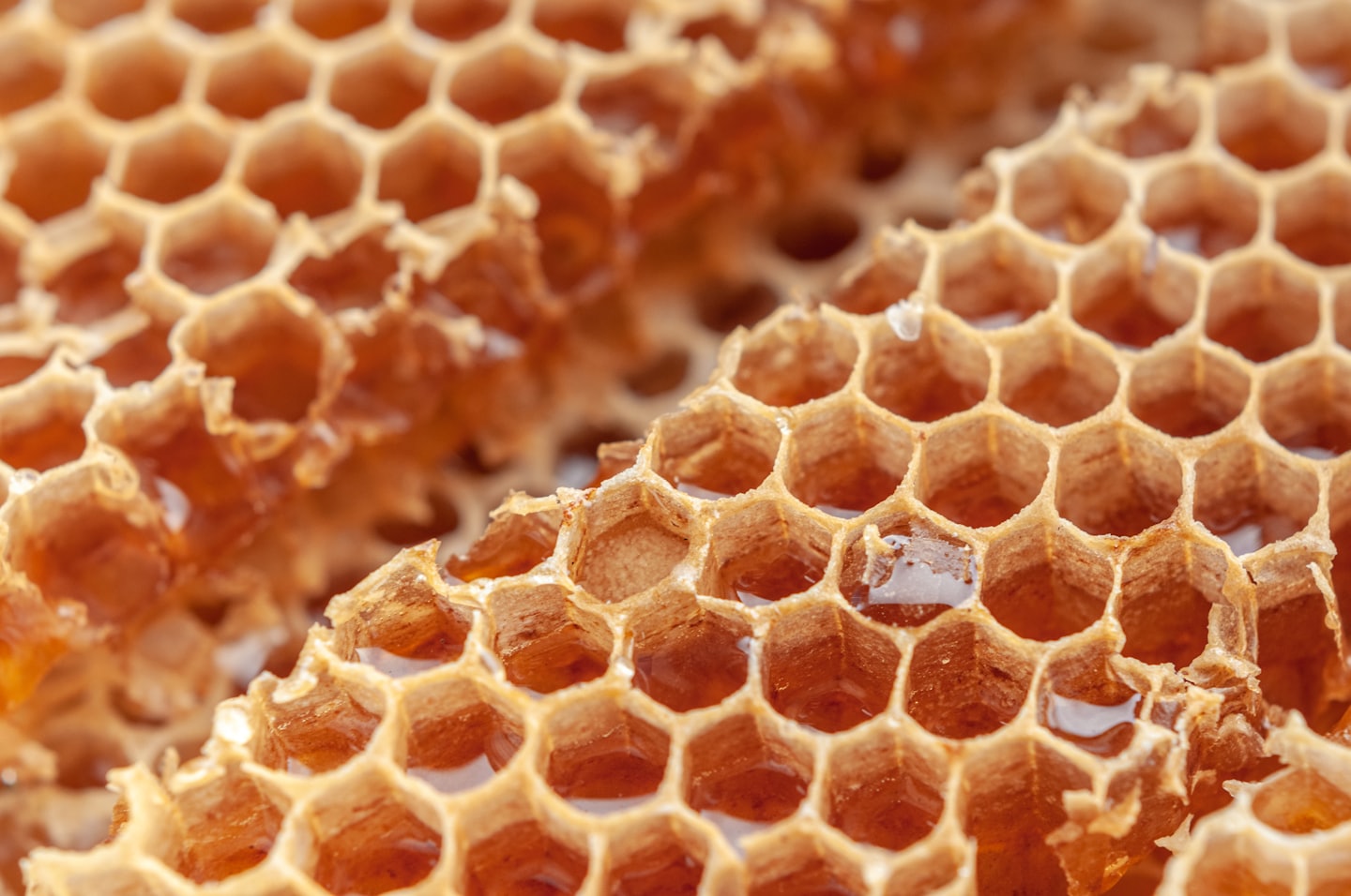 Honey comb with nectar